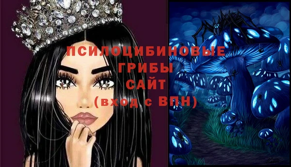 молекула духа Абинск