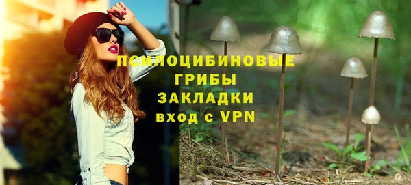 молекула духа Абинск