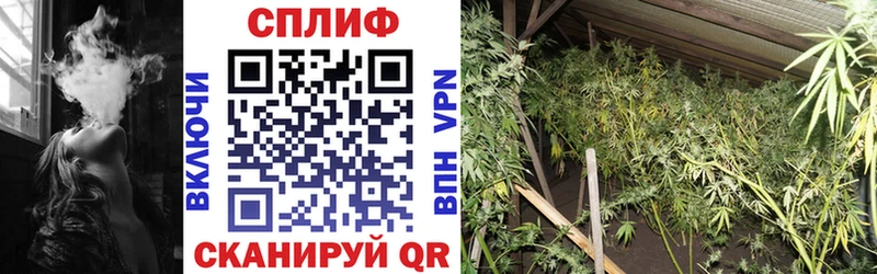 Шишки марихуана OG Kush  Циолковский 